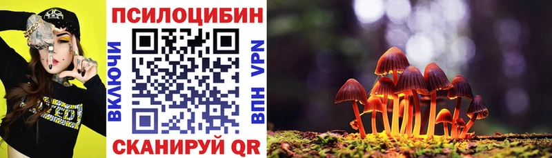 Псилоцибиновые грибы GOLDEN TEACHER  купить наркотики сайты  Шадринск 