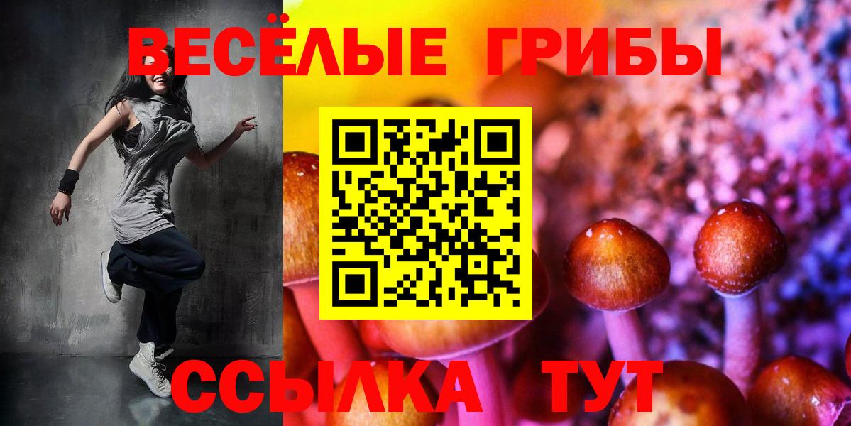 Галлюциногенные грибы Psilocybe Шадринск