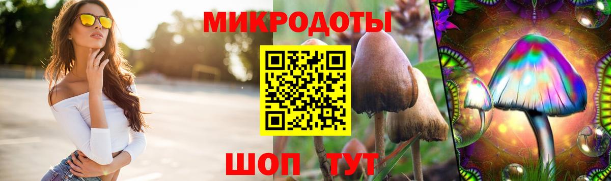 Шадринск  Псилоцибиновые грибы Psilocybe  Вход с VPN 